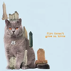 Fire doesn't grow on trees